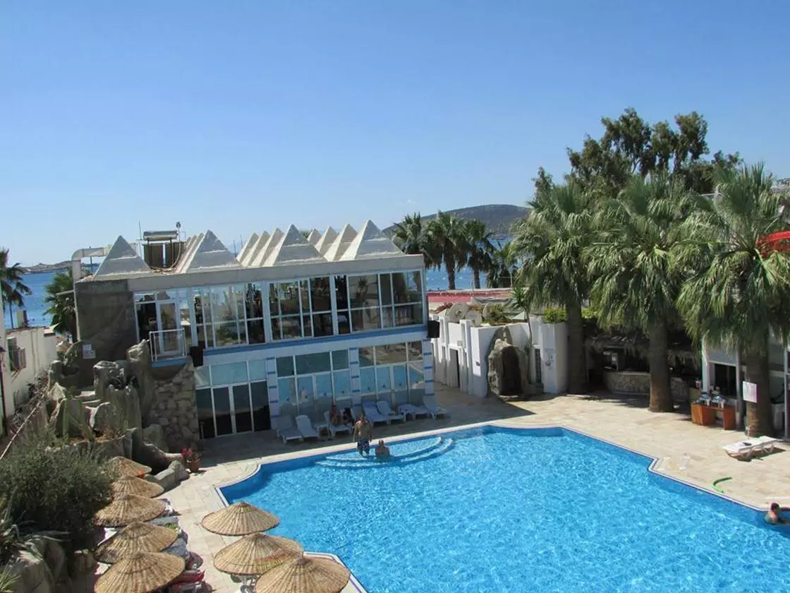 SUNCLUB_SHABAVIZ (4).jpg